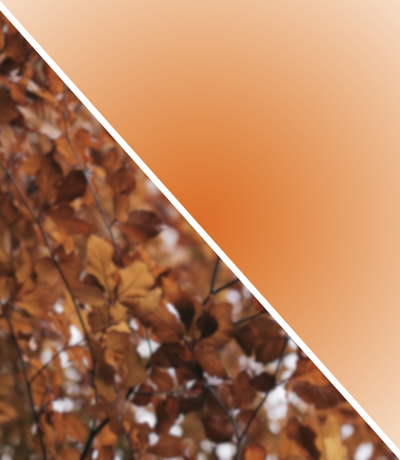 Autumn Blur