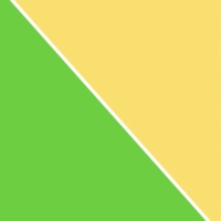 Bright Green & Golden Yellow